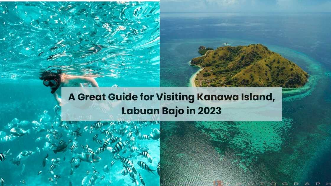 A Great Guide for Visiting Kanawa Island, Labuan Bajo in 2023