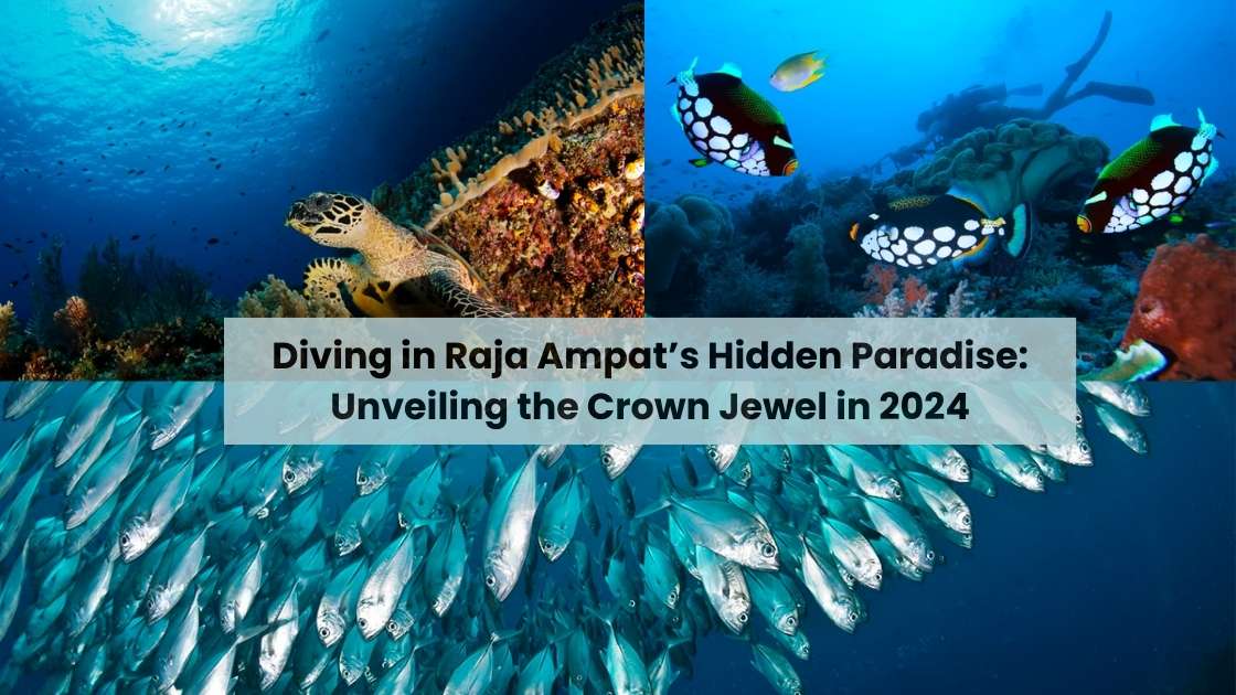 Diving in Raja Ampat’s Hidden Paradise Unveiling the Crown Jewel in 2024