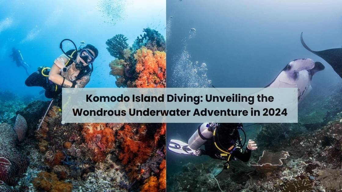 Komodo Island Diving Unveiling the Wondrous Underwater Adventure in 2024